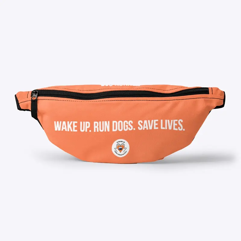 D90 Runner Fanny Pack